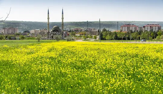 Yavuzeli Evden Eve Taşımacılık